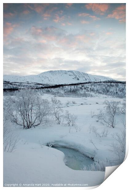 Frozen trees in Norway Print by Amanda Hart