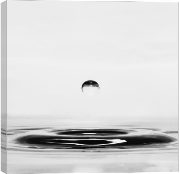 Water Droplet Canvas Print by David Martin