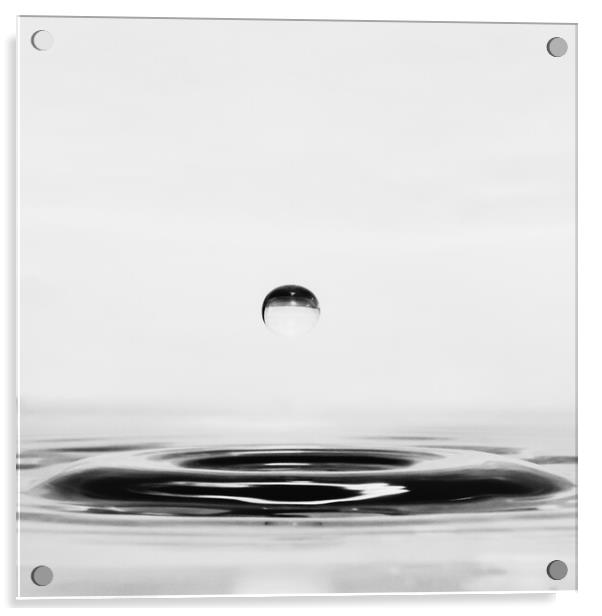 Water Droplet Acrylic by David Martin