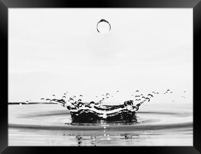 Water Droplet Framed Print by David Martin