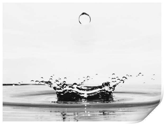 Water Droplet Print by David Martin