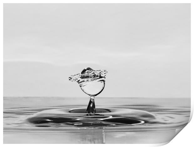 Water Droplet Print by David Martin