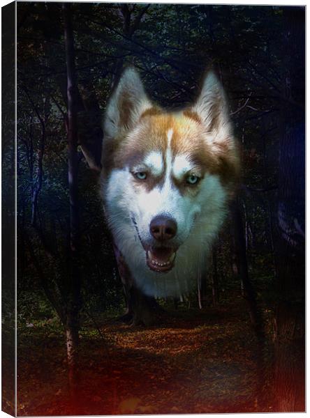 Siberian Husky Canvas Print by Brian Roscorla