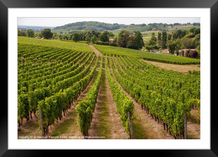 French Vineyard Framed Mounted Print by Hannah Temple