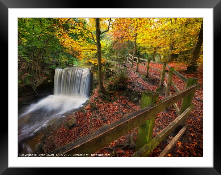 Clywedog Valley Autumn Framed Mounted Print by Peter Lovatt  LRPS