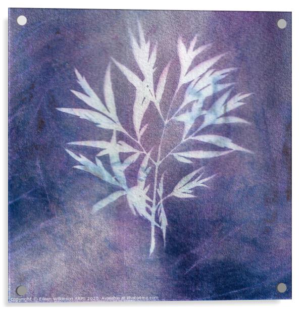 Leafy sun print Acrylic by Eileen Wilkinson ARPS EFIAP