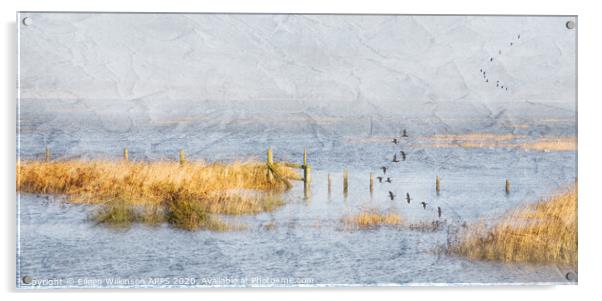 Flood on the Marsh Acrylic by Eileen Wilkinson ARPS EFIAP