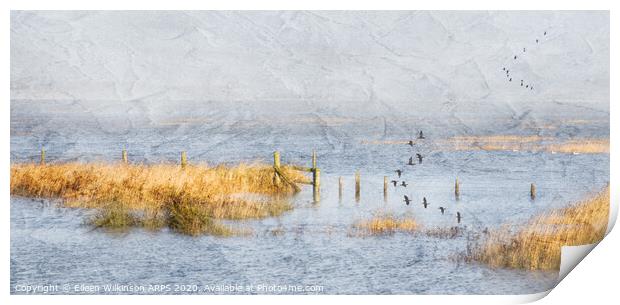 Flood on the Marsh Print by Eileen Wilkinson ARPS EFIAP