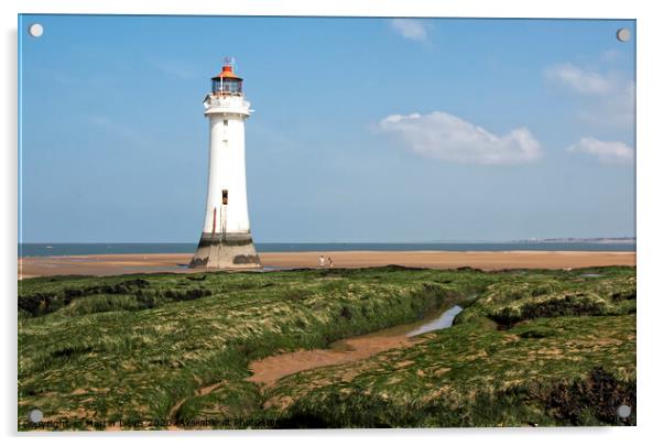 Perch Rock Lighthouse Acrylic by Martin Davis