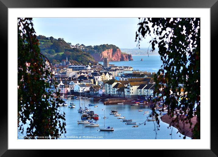 Looking through the trees to Teignmouth Framed Mounted Print by Rosie Spooner