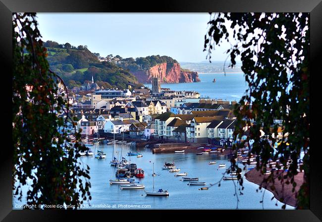 Looking through the trees to Teignmouth Framed Print by Rosie Spooner