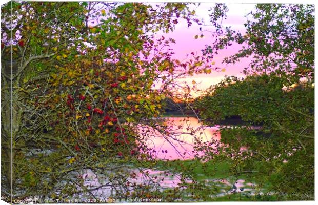 Autumn Berries framing the sunset Oxfordshire Canvas Print by Julie Tattersfield