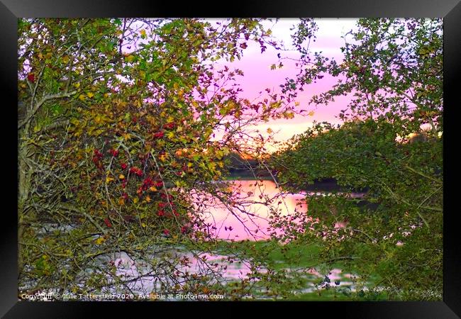 Autumn Berries framing the sunset Oxfordshire Framed Print by Julie Tattersfield
