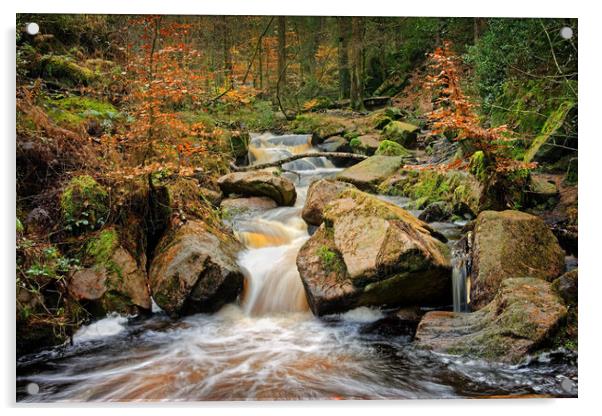 Wyming Brook in Autumn Acrylic by Darren Galpin