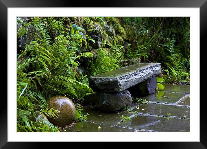 A Tranquil Spot Framed Mounted Print by Simon Litchfield