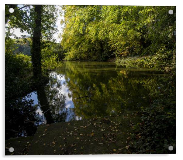 Apley Woods Acrylic by simon alun hark