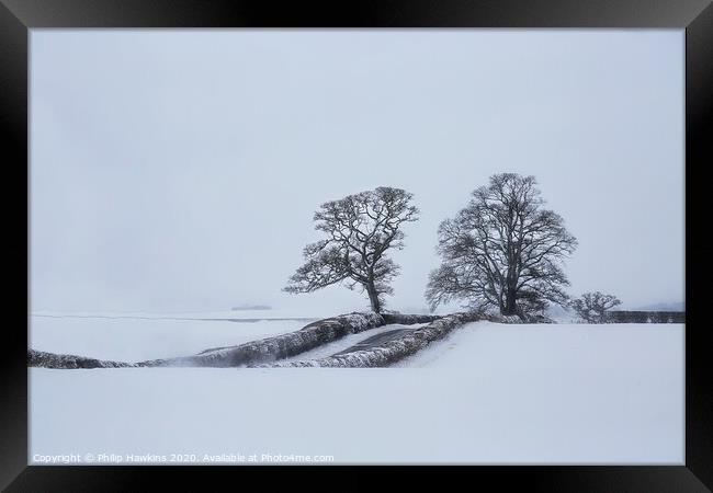 The Trows trees in snow Framed Print by Philip Hawkins