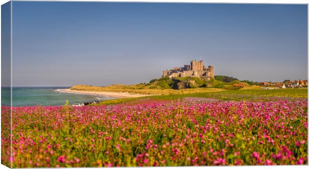 Bamburgh Castle from far afield Canvas Print by Naylor's Photography