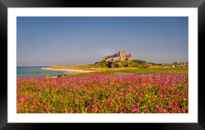 Bamburgh Castle from far afield Framed Mounted Print by Naylor's Photography