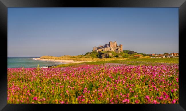 Bamburgh Castle from far afield Framed Print by Naylor's Photography