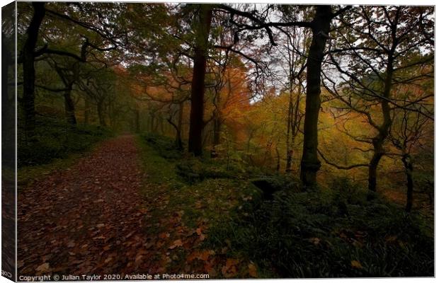 Padle Gorge woodland Canvas Print by Jules Taylor