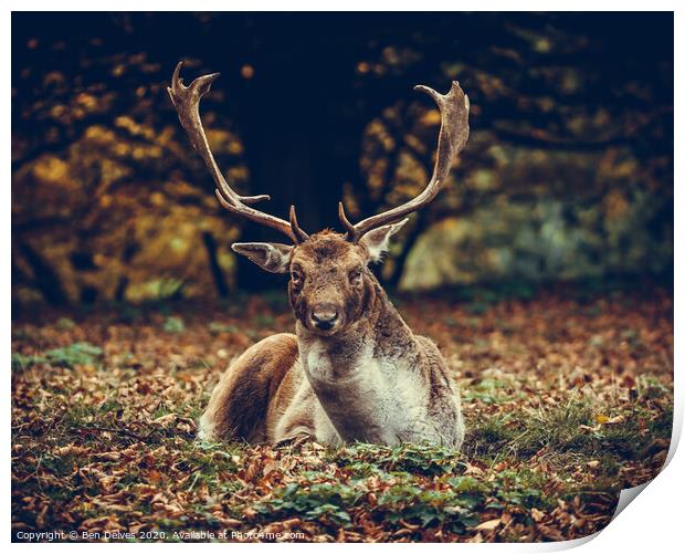 Majestic Stag Amidst Autumnal Leaves Print by Ben Delves