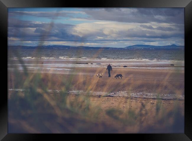 Beach stroll Framed Print by Steven Lennie