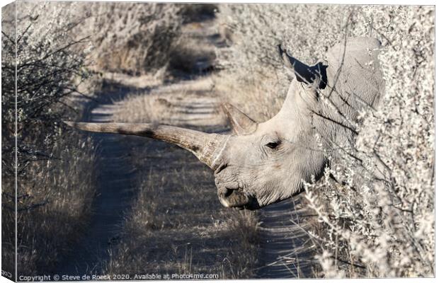 White Rhino Namibia Canvas Print by Steve de Roeck