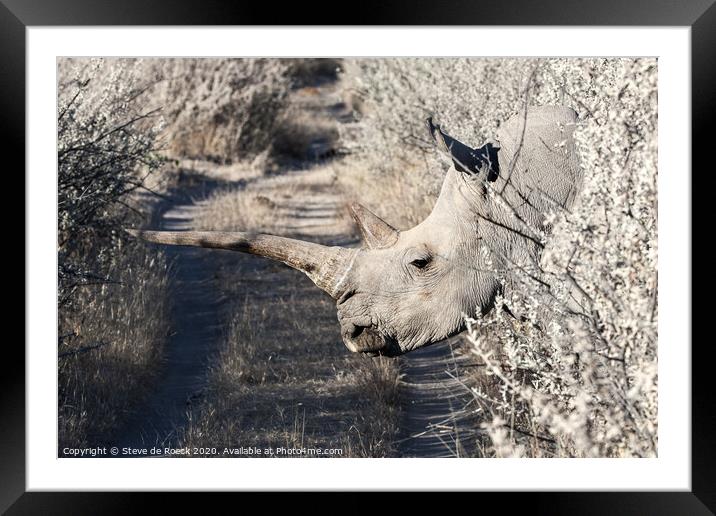 White Rhino Namibia Framed Mounted Print by Steve de Roeck
