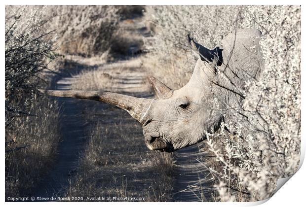 White Rhino Namibia Print by Steve de Roeck