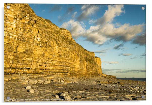 Limestone Cliffs Llantwit Major Beach Acrylic by Nick Jenkins