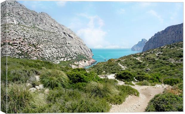 The Boquer Trail Puerto Pollensa Canvas Print by Louise Godwin