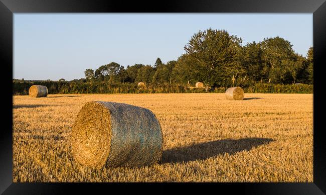 Hay bales in a small field Framed Print by Jason Wells