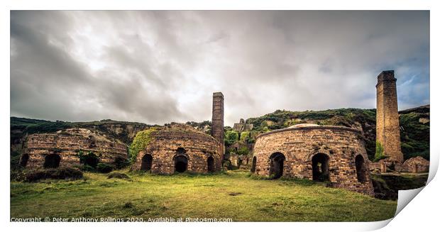 Porth Wen Brickworks Print by Peter Anthony Rollings