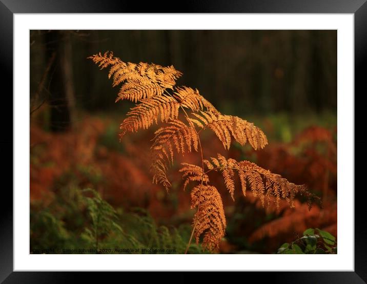  Autumn Fern Framed Mounted Print by Simon Johnson