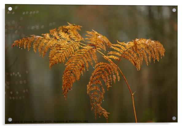 Autumn Fern Acrylic by Simon Johnson