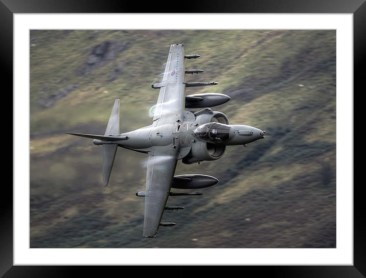 Harrier through the gap Framed Mounted Print by Rory Trappe