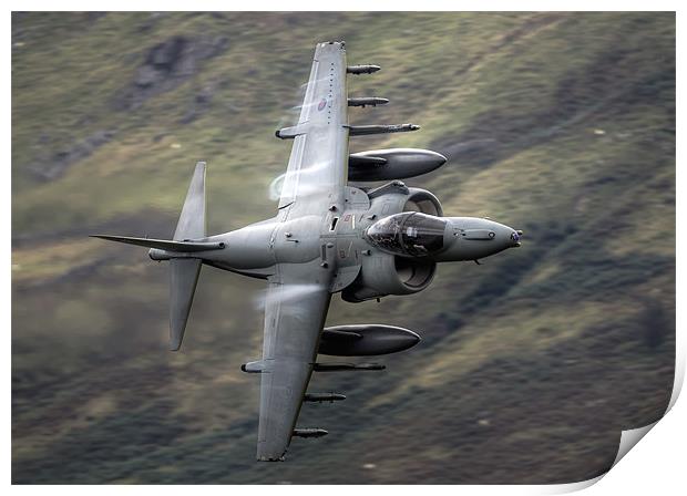 Harrier through the gap Print by Rory Trappe
