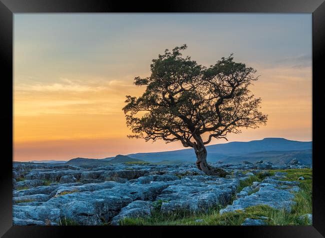 Winskill Stones in the Yorkshire Dales Framed Print by Tony Keogh