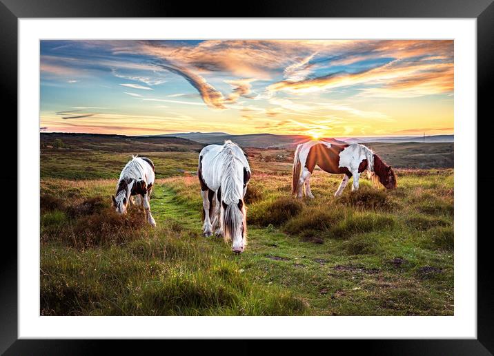 Horses Grazing on the Welsh Hills Framed Mounted Print by Karl McCarthy