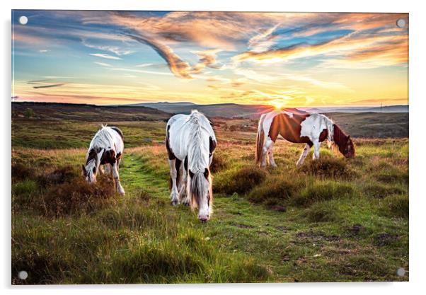 Horses Grazing on the Welsh Hills Acrylic by Karl McCarthy