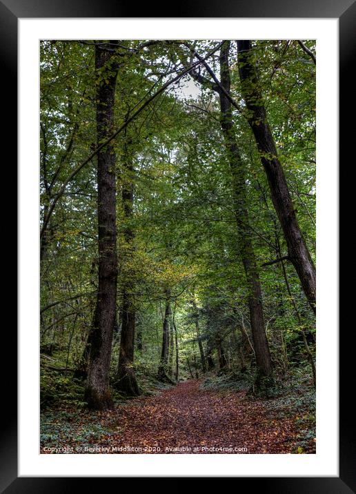 Into the woods Framed Mounted Print by Beverley Middleton