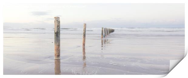 Sea Of Tranquility Print by Peter Lennon