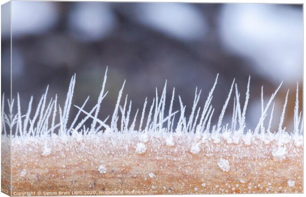 Ice crystals forming spikes in macro Canvas Print by Simon Bratt LRPS