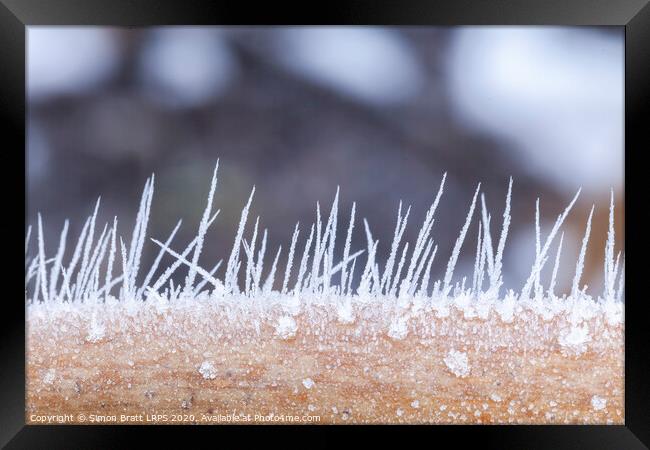 Ice crystals forming spikes in macro Framed Print by Simon Bratt LRPS