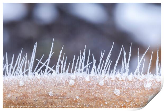 Ice crystals forming spikes in macro Print by Simon Bratt LRPS