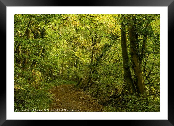 Into The Woods on an October afternoon South Wales Framed Mounted Print by Nick Jenkins