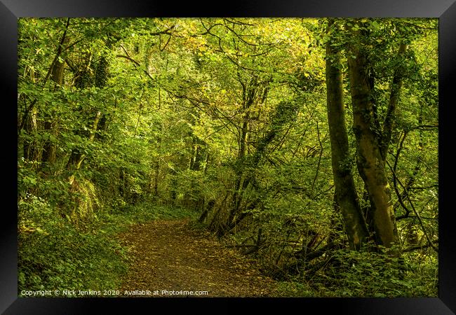 Into The Woods on an October afternoon South Wales Framed Print by Nick Jenkins