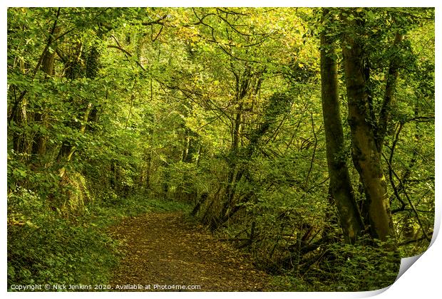 Into The Woods on an October afternoon South Wales Print by Nick Jenkins