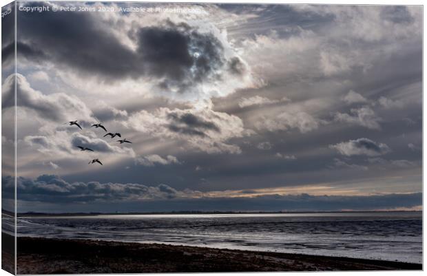 Six Greylag geese fly over the North Norfolk coast. Canvas Print by Peter Jones